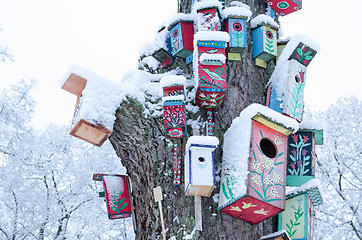 Image showing decor birdhouse nesting box snow tree trunk winter 