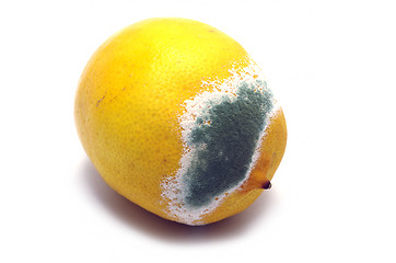 Image showing Moulded lemon