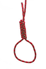 Image showing Noose