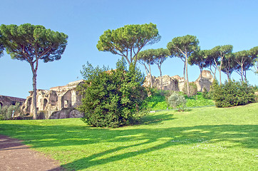 Image showing Palatine hill