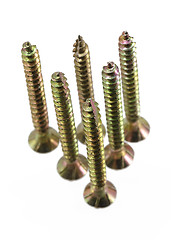 Image showing group wood screw thread