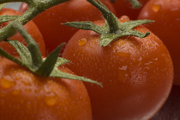 Image showing tomato