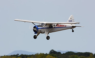 Image showing de Havilland Beaver