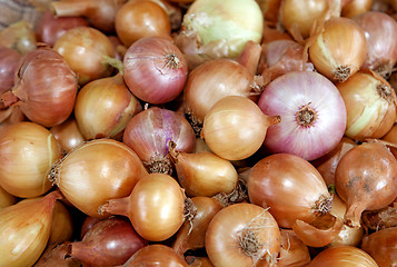 Image showing bulb onions