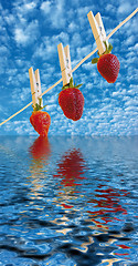 Image showing strawberry's hanging to dry above water