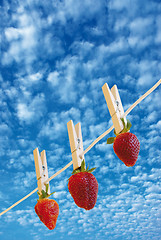 Image showing strawberry's on cloudy sky
