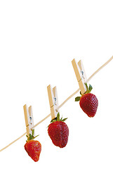 Image showing strawberry's hanging to dry