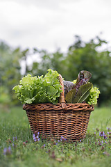 Image showing Salad