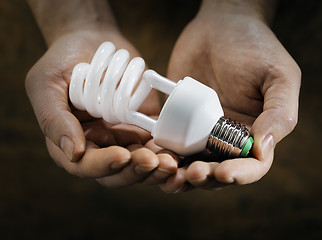 Image showing Fluorescent Bulb