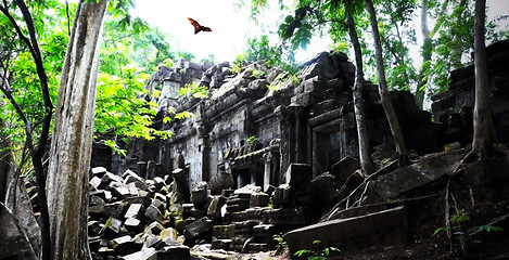 Image showing Jungle temple