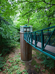 Image showing Green pathway through the trees