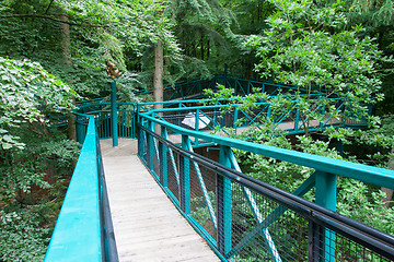 Image showing Green pathway through the trees