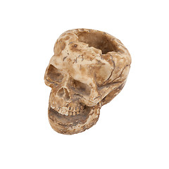 Image showing Single old skull isolated