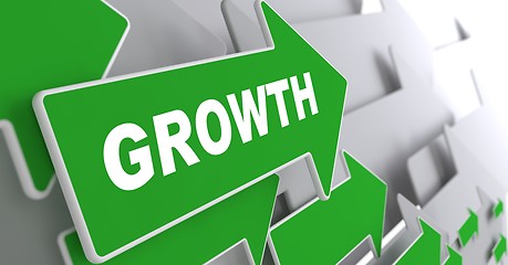 Image showing Growth. Business Concept.