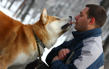 Image showing Akita Inu