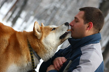 Image showing Akita Inu