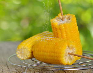 Image showing corn boiled 