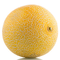 Image showing Yellow melon 