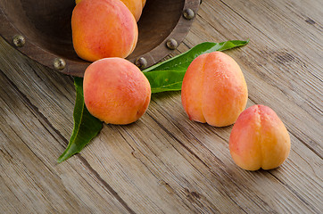 Image showing Apricots with leaves