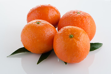 Image showing Ripe tangerines or mandarin