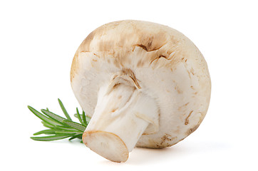 Image showing Champignon mushroom and parsley leaves 