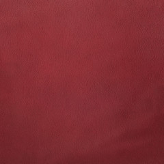 Image showing Red leather 