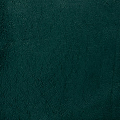 Image showing Green leather