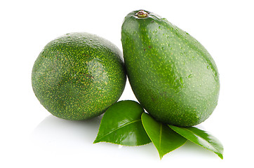 Image showing Avocados on white 