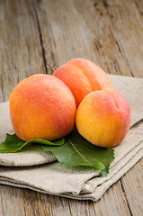 Image showing Apricots with leaves