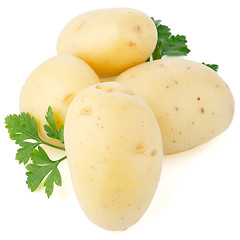 Image showing New potatoes and green parsley