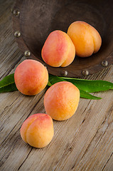 Image showing Apricots with leaves