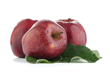 Image showing Ripe red apples