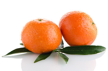 Image showing Ripe tangerines or mandarin