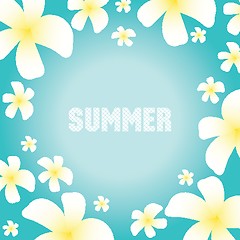 Image showing Summer background with frangipani flowers