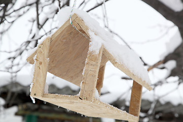 Image showing  bird feed