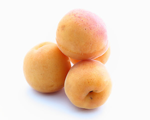 Image showing apricots