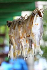 Image showing Dried fish