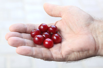 Image showing Cherry