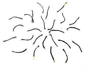 Image showing Burned matches