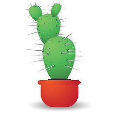 Image showing green cactus  isolated on a white background