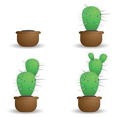 Image showing green cactus