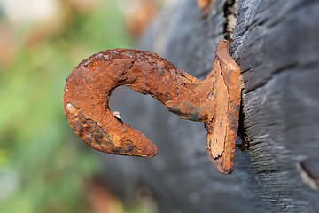 Image showing Rusted steel hook 