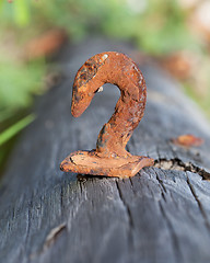 Image showing Rusted steel hook 