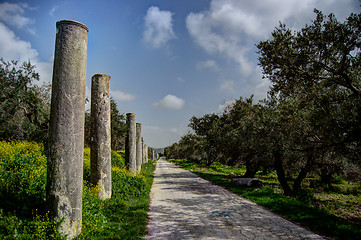 Image showing Sebastia archeology ancient ruins