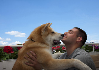 Image showing Akita inu