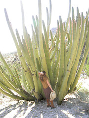 Image showing Woman With Organ Pipe Cactus