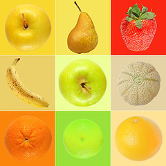 Image showing Fruit collage