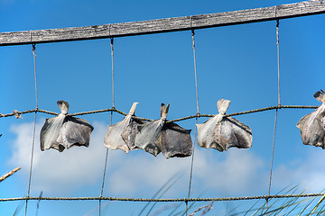 Image showing Stockfish