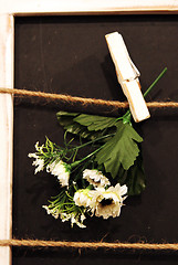 Image showing Flowers pegged to a black board