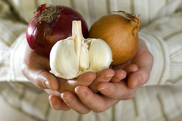 Image showing onion